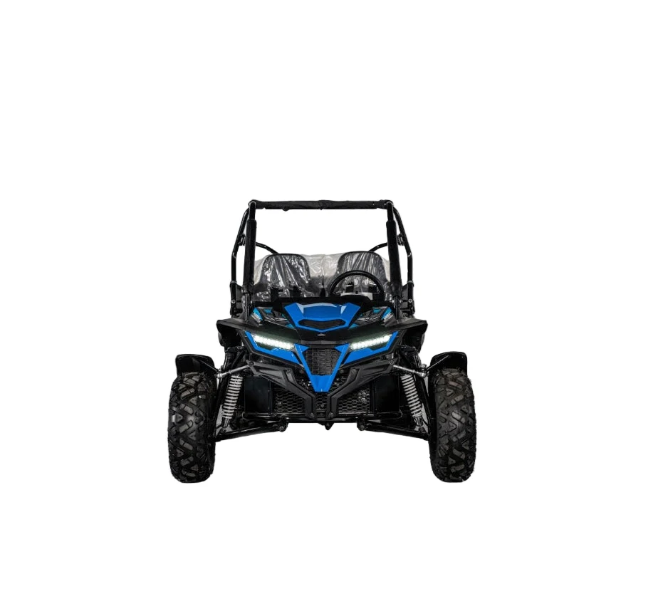 Junior 250cc Buggy UTV - Image 3