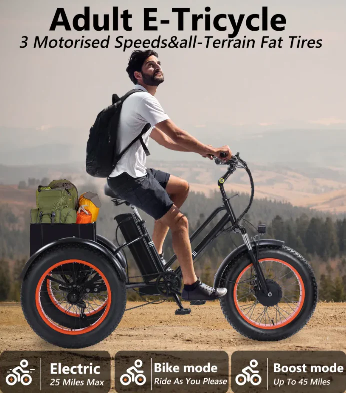 Kugoo Adults Electric Trike 48V 15Ah 750W - Image 2