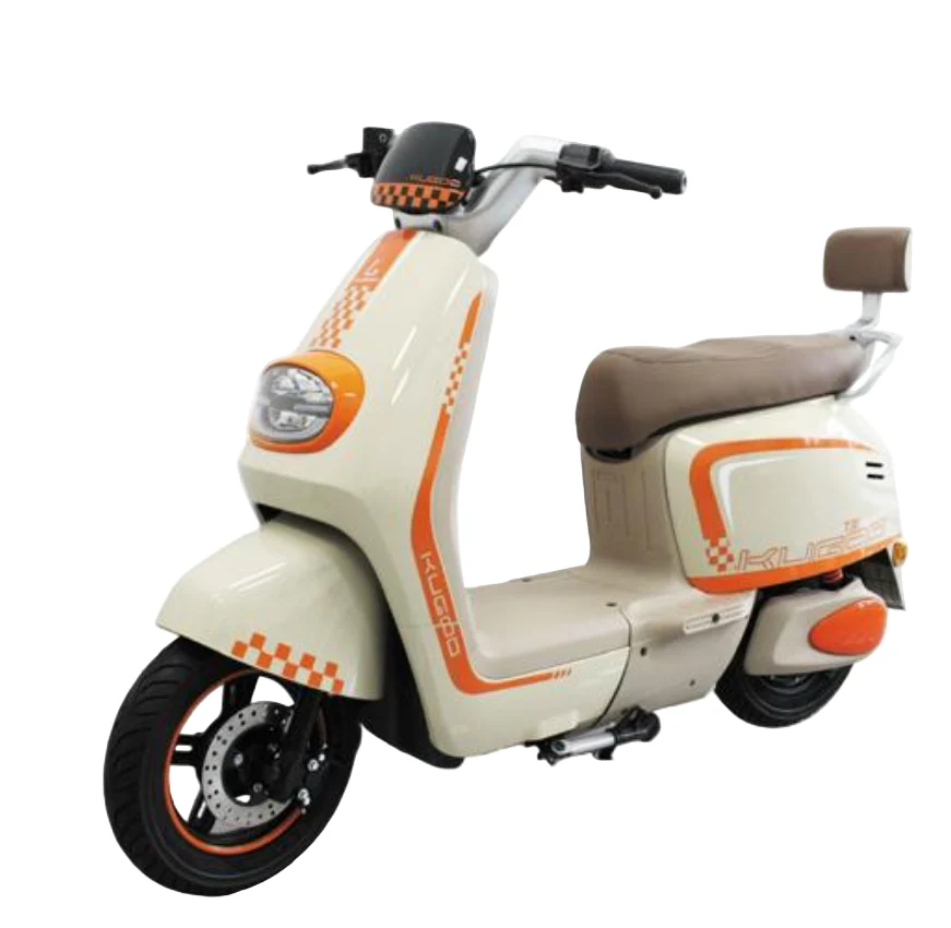 Kugoo T30 City Electric Bike Unisex Home office all purpose 48V 20Ah 450W