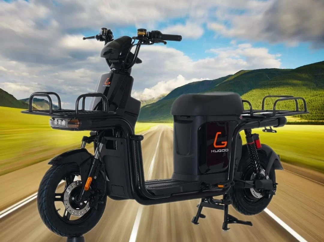 Kugoo T3 Electric Bike Cargo 700W 48V 20A - Image 8