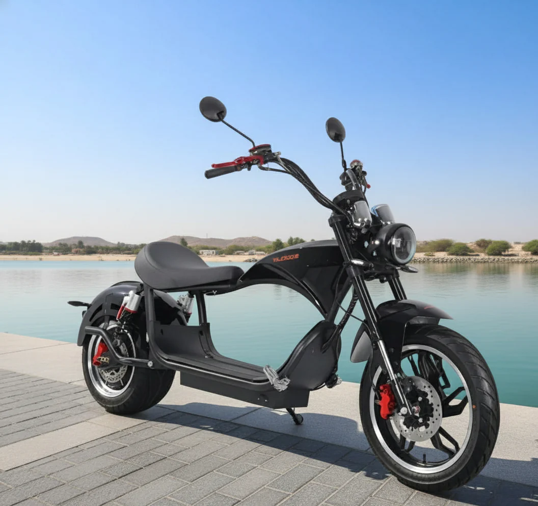 Kugoo M1 Fat Tire Harley Electric Bike 60V 20Ah 2000W