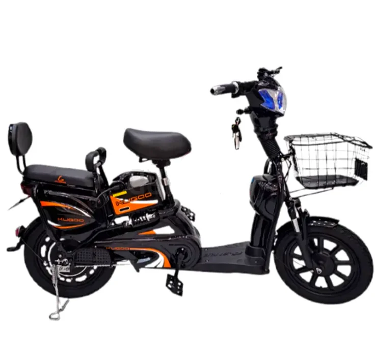 Kugoo T16 Delivery Electric Bike