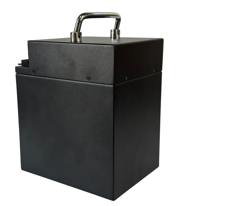 Kugoo Wish 01 Battery 48V 20.8Ah - Image 3