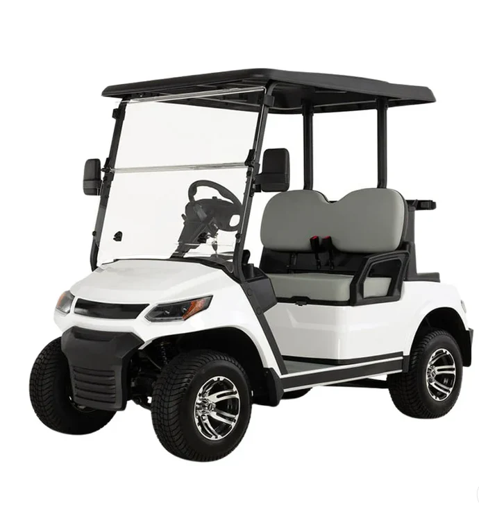 Electric Golf Cart Buggy LT  – 2 Seater (4000W | 100km Range)