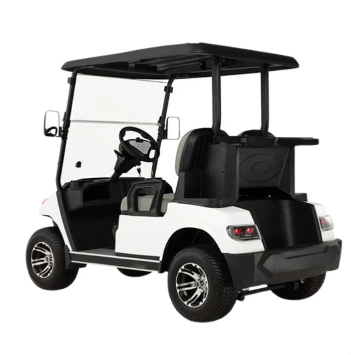 Electric Golf Cart Buggy LT  – 2 Seater (4000W | 100km Range) - Image 4