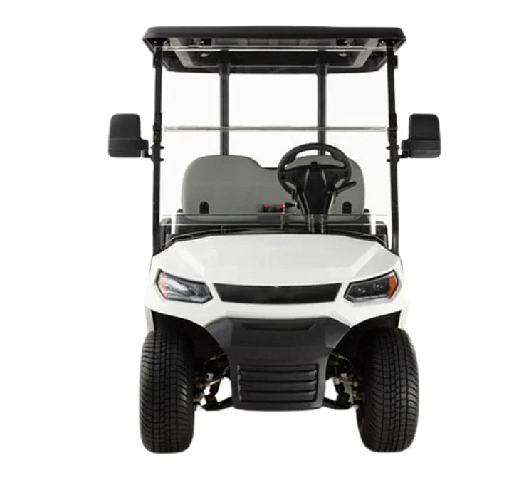 Electric Golf Cart Buggy LT  – 2 Seater (4000W | 100km Range) - Image 7