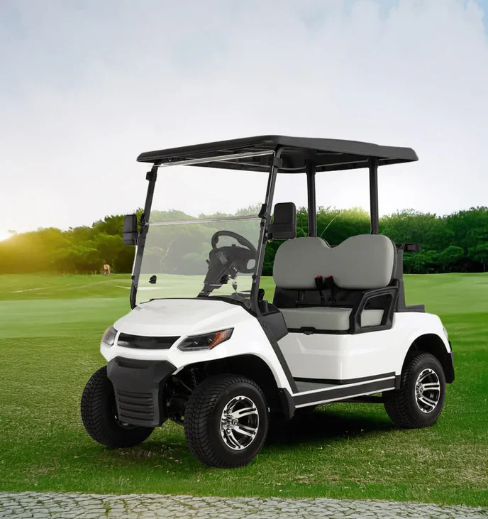 Electric Golf Cart Buggy LT  – 2 Seater (4000W | 100km Range) - Image 8