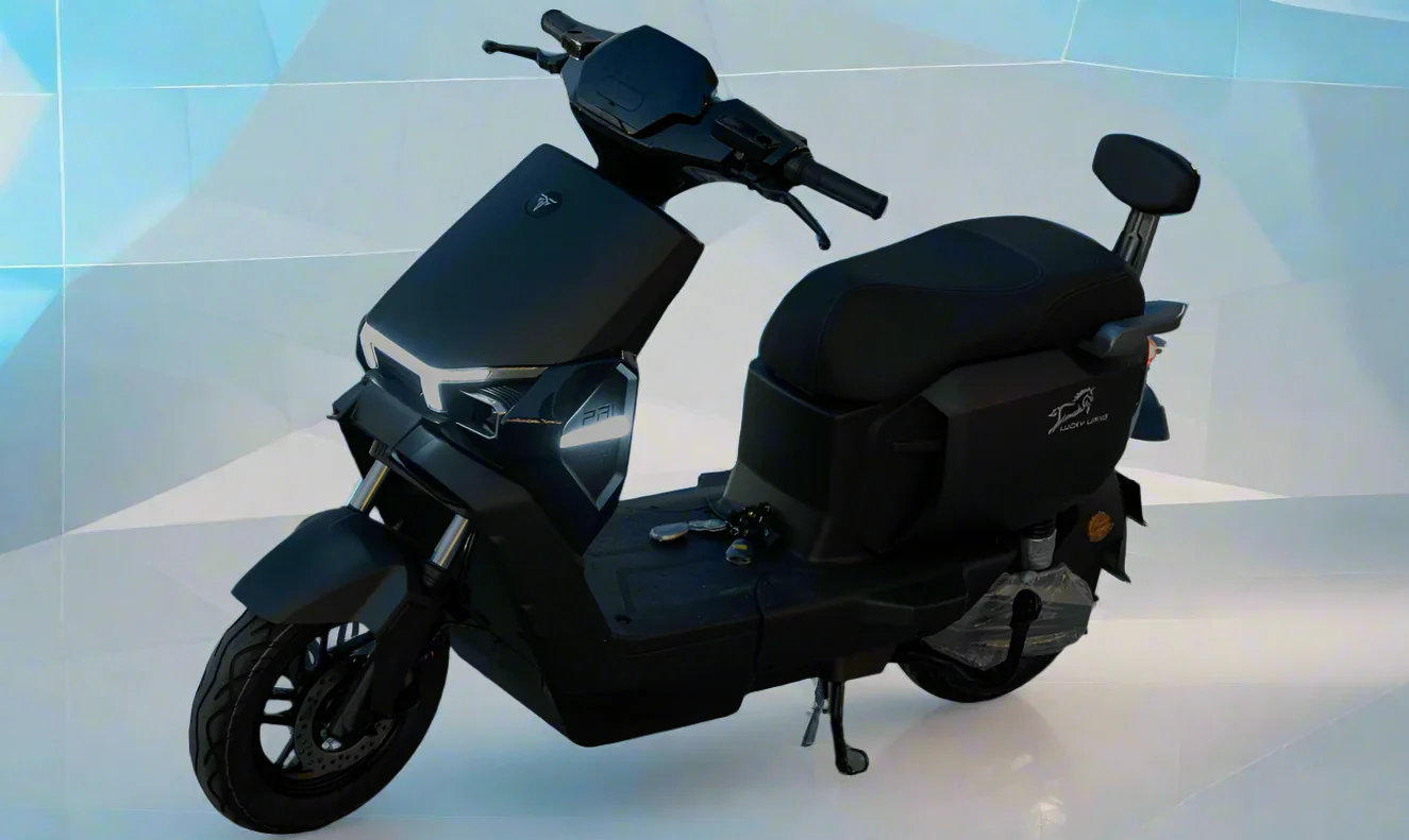 J3(DM3) City Electric Bike Stylish 48V 24Ah 1200W - Image 7