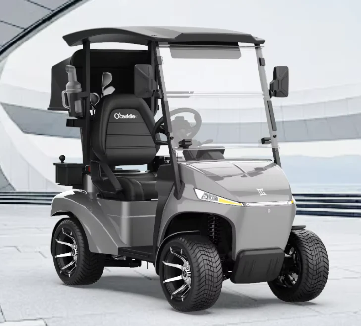 Luxury Electric Golf Cart 01 seater