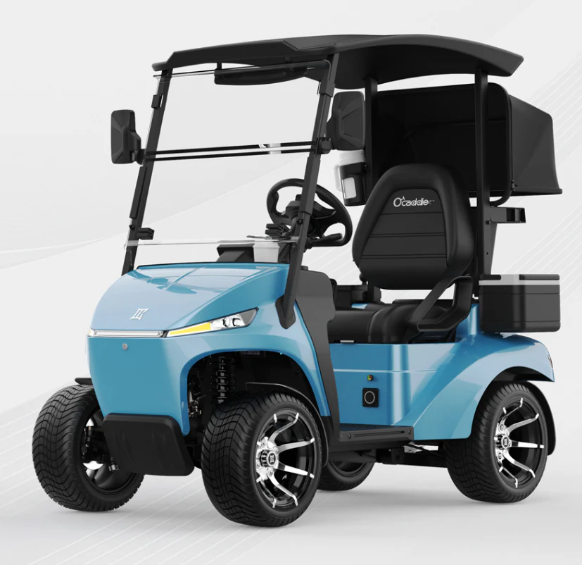 Luxury Electric Golf Cart 01 seater - Image 6