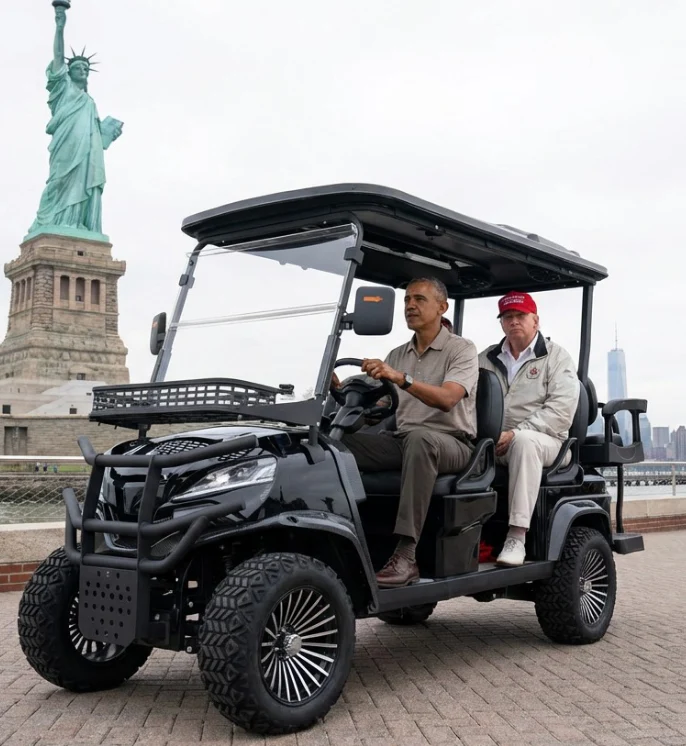 Luxury Electric Golf Cart 04 Seater - Image 5