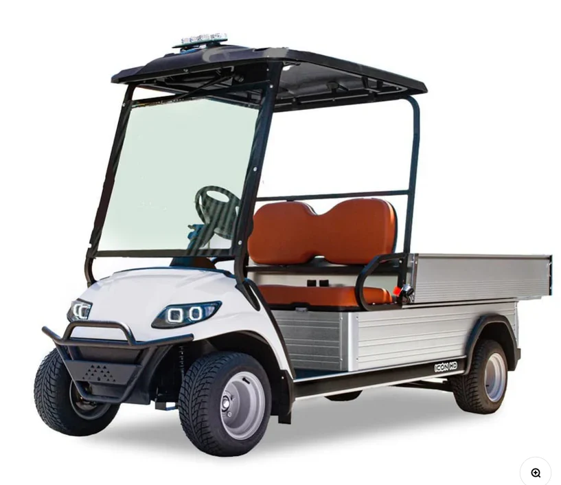 LVT Electric Utility Golf Cart – 2-Seater with Long Cargo Box
