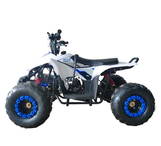Mini ATV 125CC – The Perfect Off-Road Learning ATV for Kids - Image 4