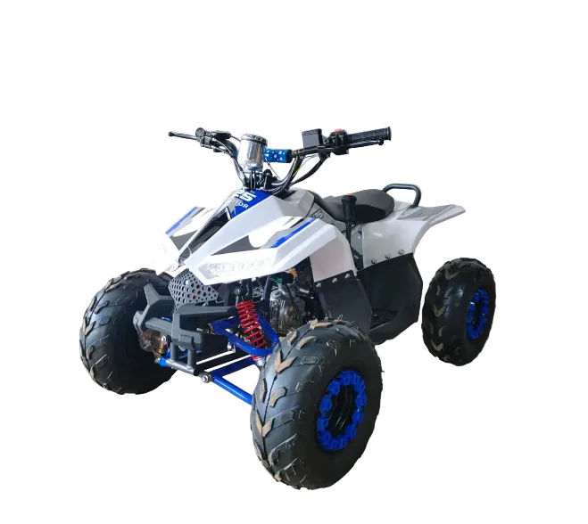 Mini ATV 125CC – The Perfect Off-Road Learning ATV for Kids - Image 6