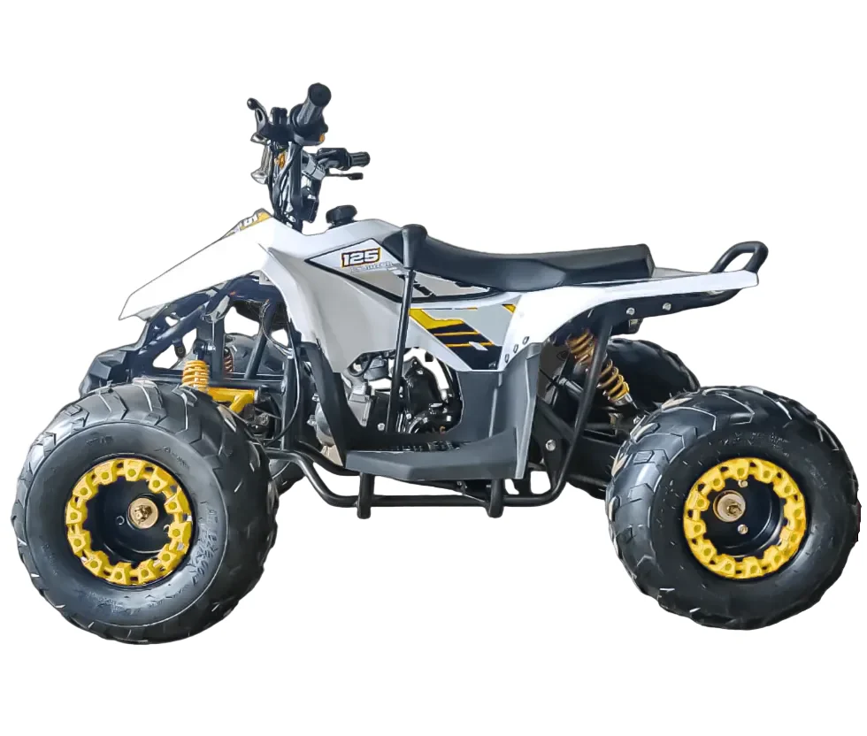 Mini ATV 125CC – The Perfect Off-Road Learning ATV for Kids - Image 7