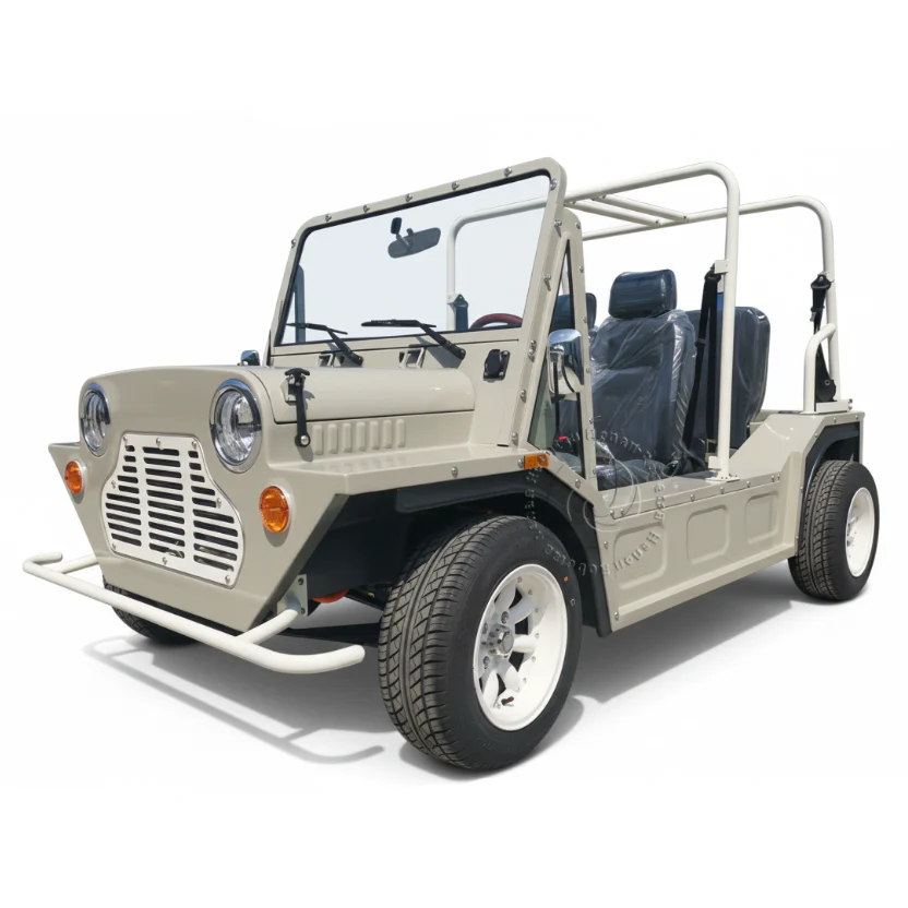 Mini Moke Electric Sightseeing Buggy Car Moke 4 Seater Golf Cart-Full Aluminium Body - Image 4