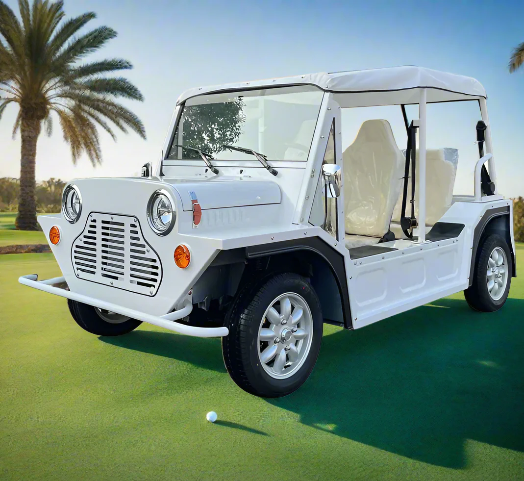Mini Moke Electric Sightseeing Buggy Car Moke 4 Seater Golf Cart-Full Aluminium Body - Image 9