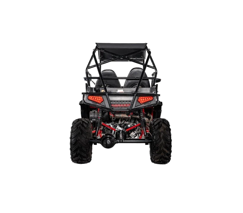 Predator 420cc Buggy off Road 2WD UTV - 02 Seater - Image 3