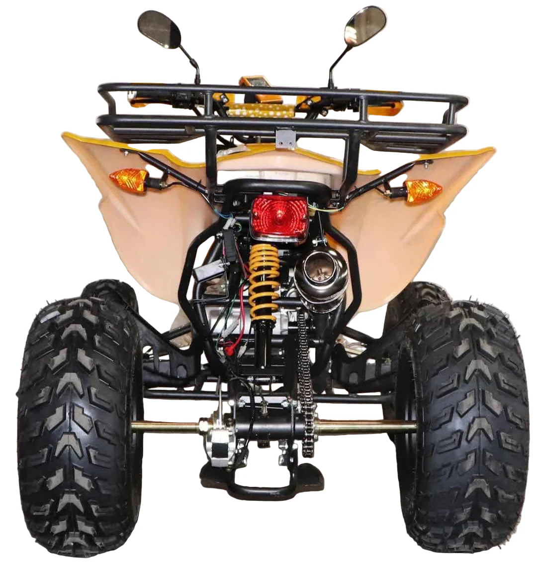Quad Bike 250cc Gas powered Electric Start Hydraulic Disk Brakes - Image 2