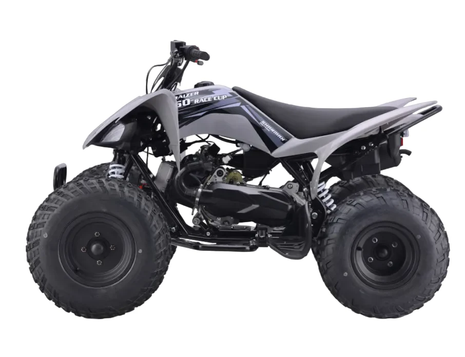 Raizer 250 Race Cup – The Perfect Starter Sport ATV Age 14+ Teens - Image 3