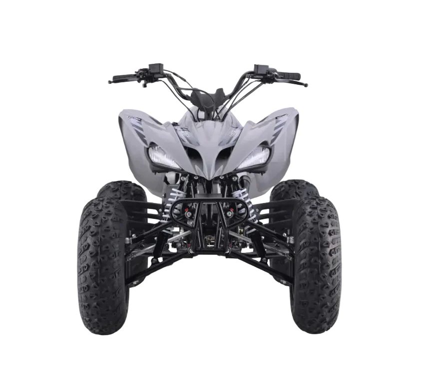 Raizer 250 Race Cup – The Perfect Starter Sport ATV Age 14+ Teens - Image 4