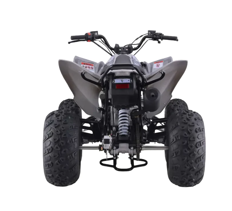Raizer 250 Race Cup – The Perfect Starter Sport ATV Age 14+ Teens - Image 5
