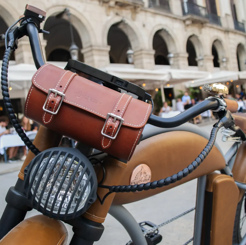 Rayvolt Cruzer L Classic Into Modern Electric Bike - Image 3