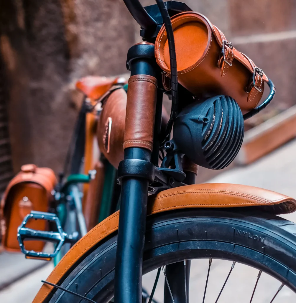 Rayvolt Cruzer L Classic Into Modern Electric Bike - Image 5