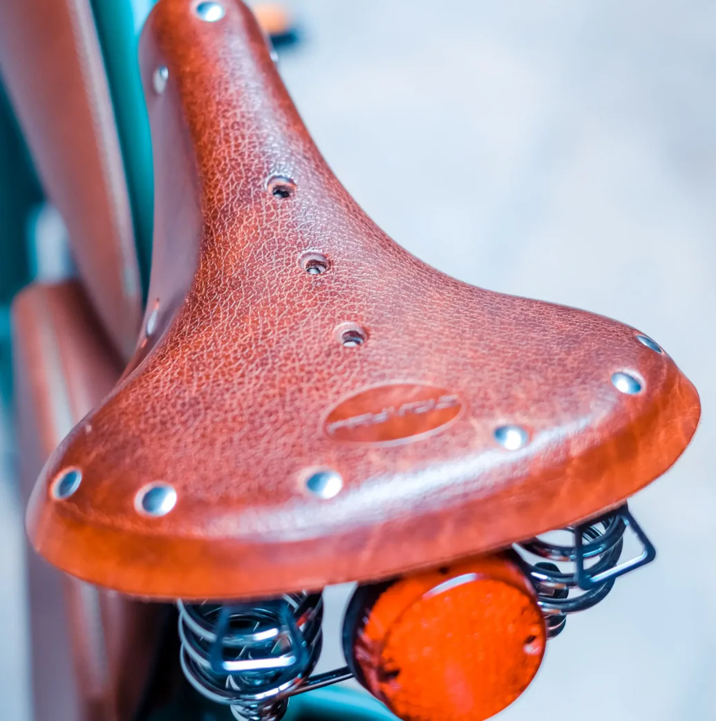 Rayvolt Cruzer L Classic Into Modern Electric Bike - Image 7