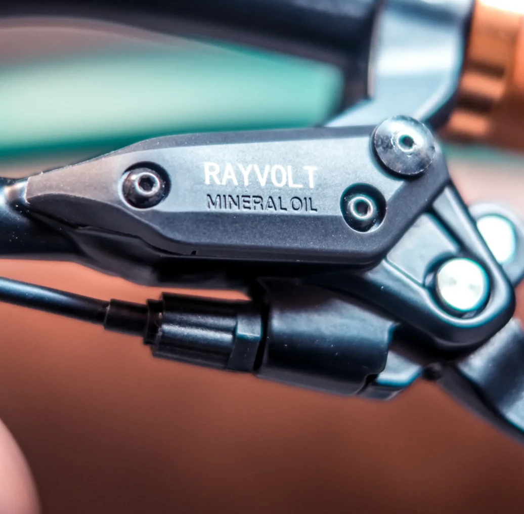 Rayvolt Cruzer L Classic Into Modern Electric Bike - Image 8