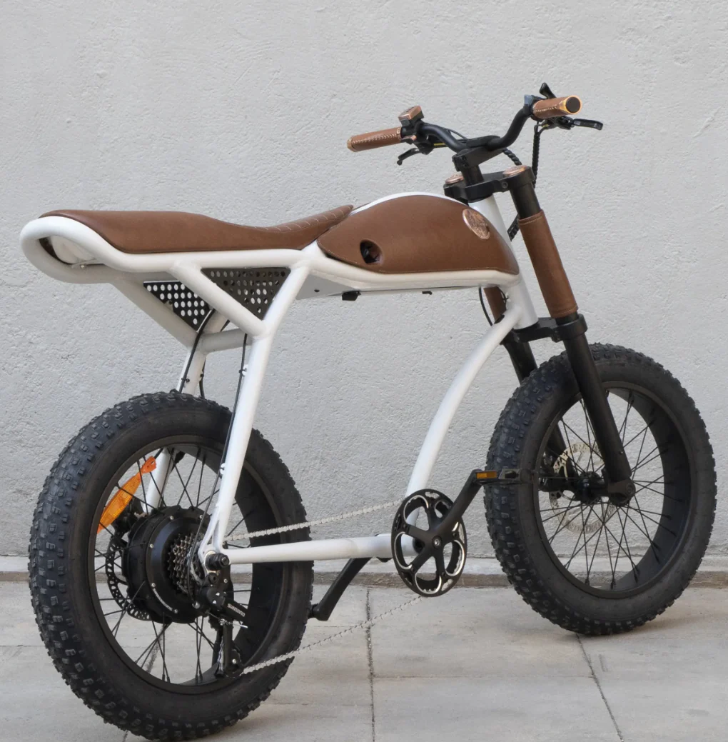 Rayvolt Ringo Electric Bicycle Luxurios Ride Vintage to Modern - Image 10