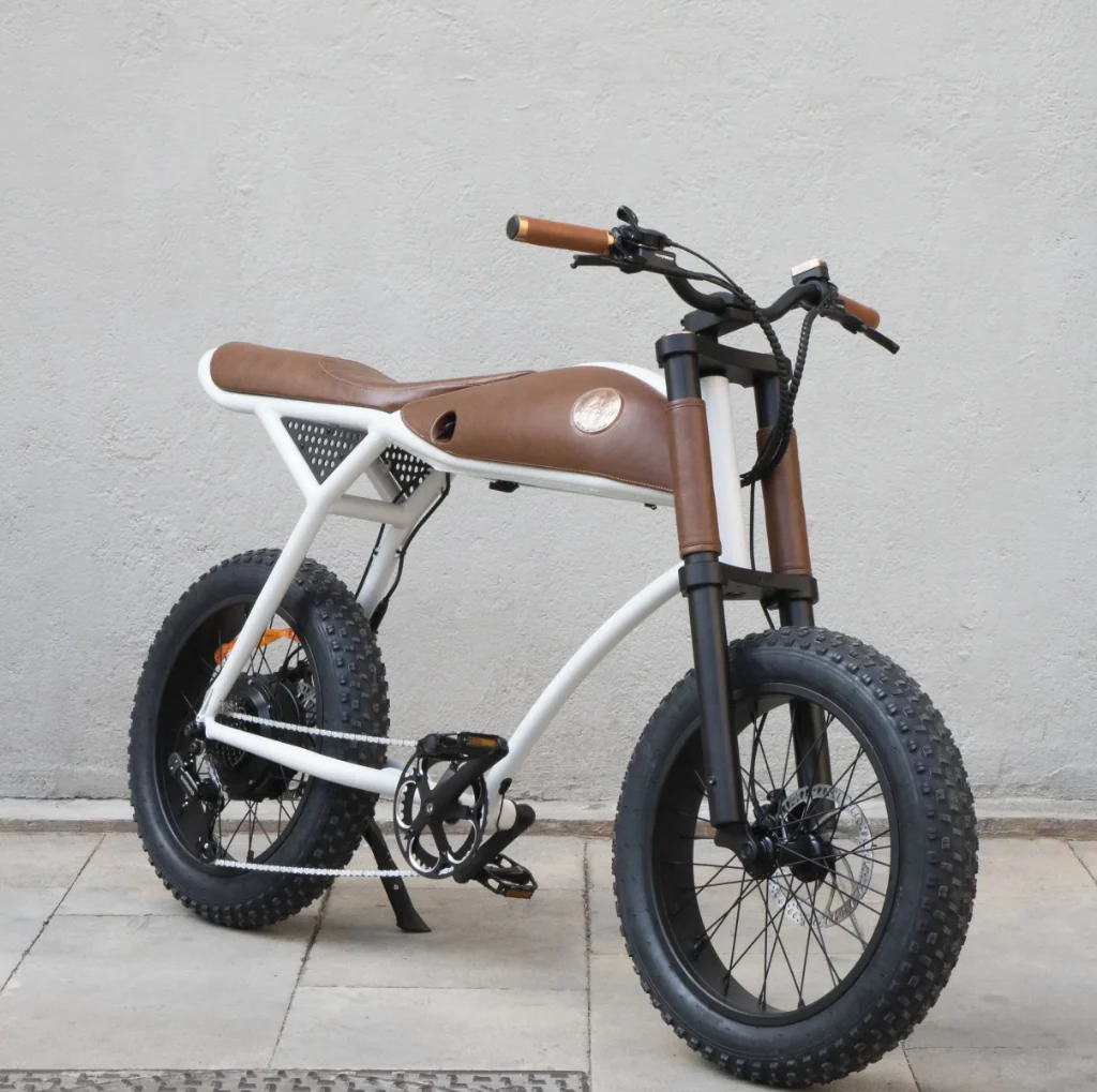 Rayvolt Ringo Electric Bicycle Luxurios Ride Vintage to Modern - Image 11