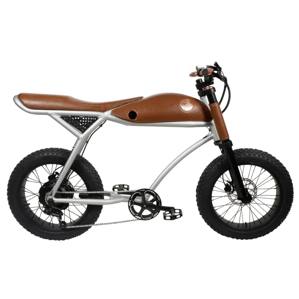 Rayvolt Ringo Electric Bicycle Luxurios Ride Vintage to Modern - Image 2