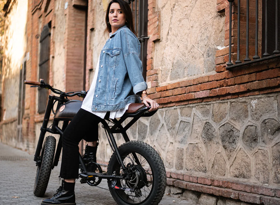 Rayvolt Ringo Electric Bicycle Luxurios Ride Vintage to Modern - Image 8