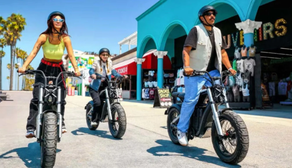 Ninebot Segway Xyber Electric Bike (single Battery version) - Image 5