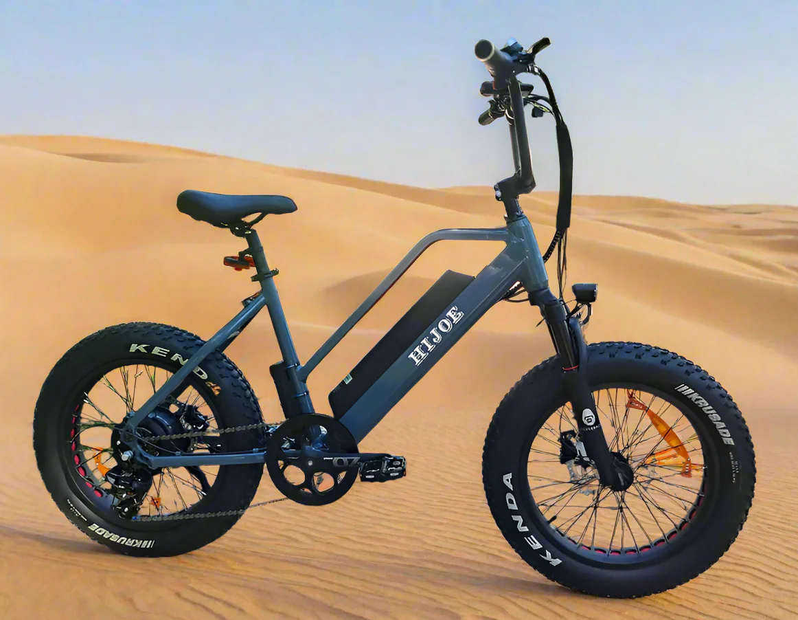 Silverback Electric Bike 48V 15.6Ah 750W