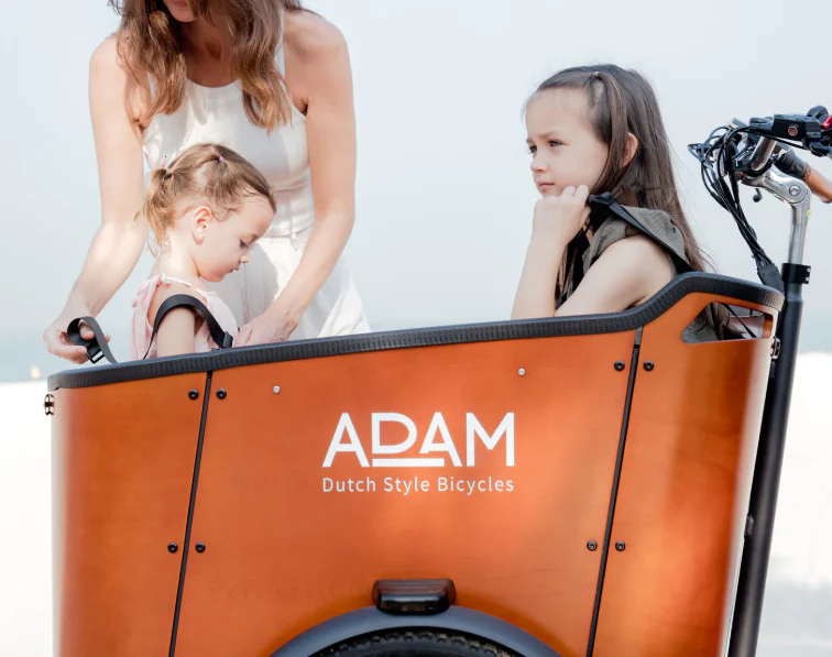 Adam Cargo Bike Electric - Image 4