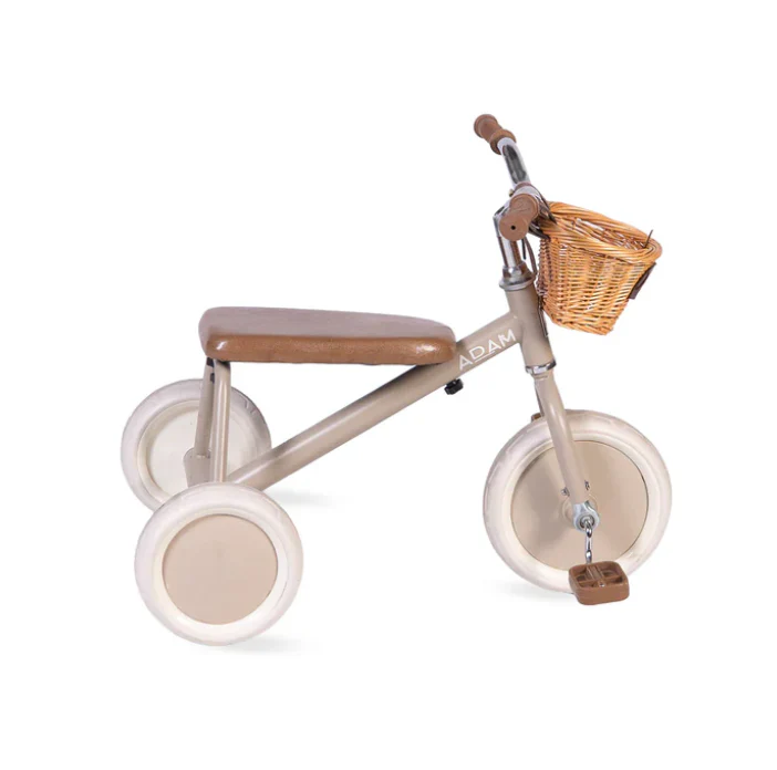 The Tiny Tricycle Age 1.5 Years and up