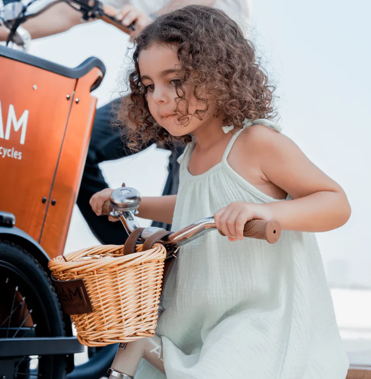 The Tiny Tricycle Age 1.5 Years and up - Image 2