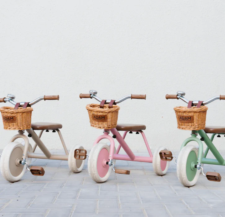 The Tiny Tricycle Age 1.5 Years and up - Image 5