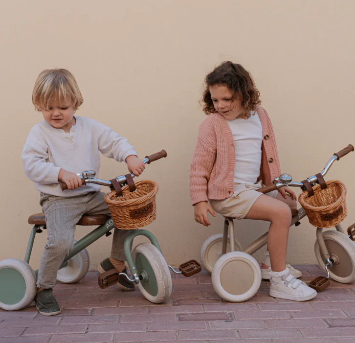 The Tiny Tricycle Age 1.5 Years and up - Image 6