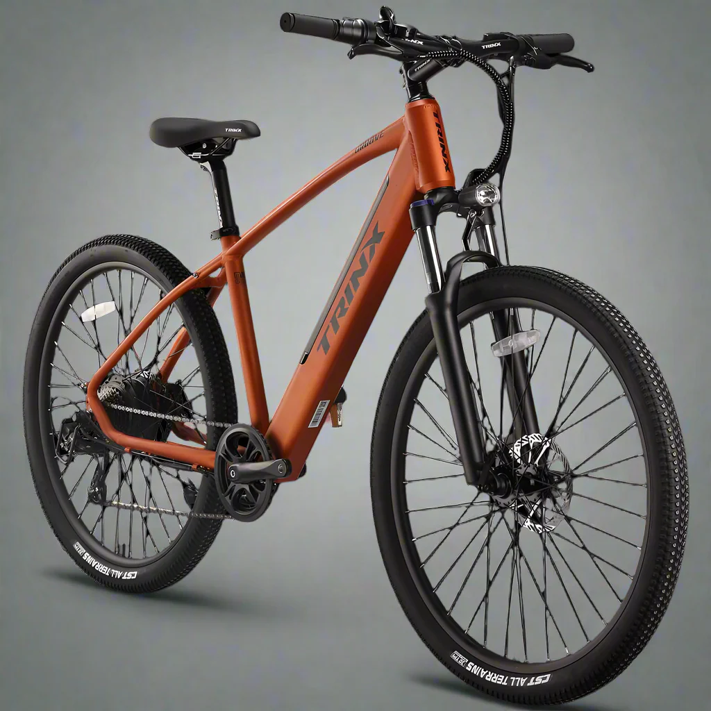 Trinkx Groove 7s Electric Bike 350W 36V 10Ah - Image 2