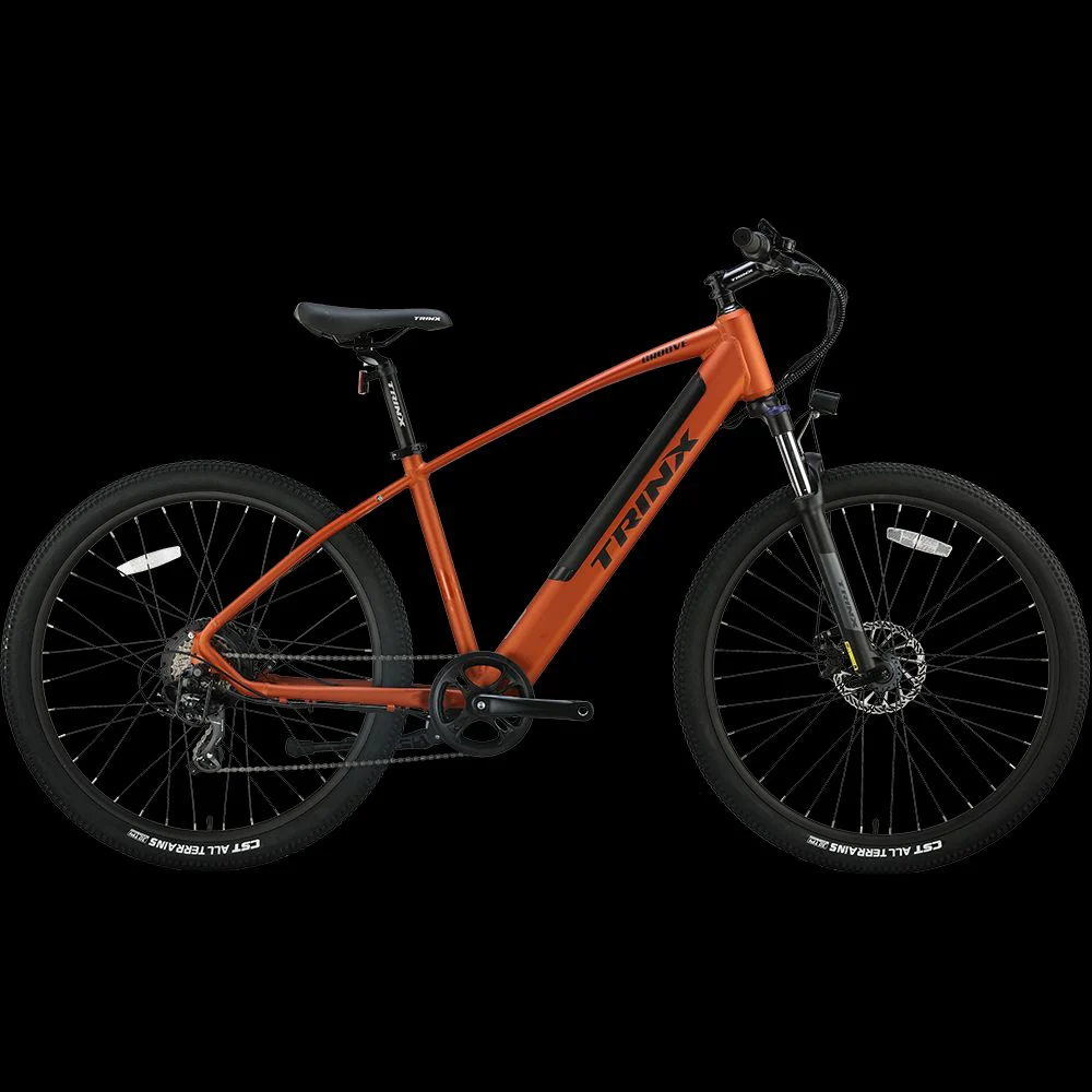 Trinkx Groove 7s Electric Bike 350W 36V 10Ah - Image 3