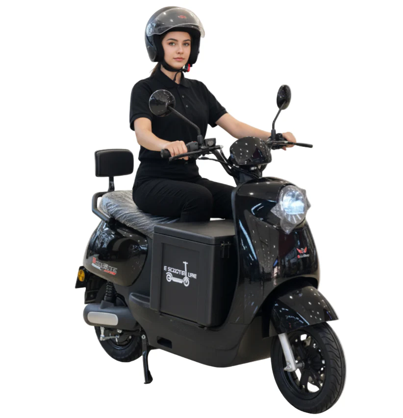 Vespa Style Fashion Electric Bike -RW-GW02
