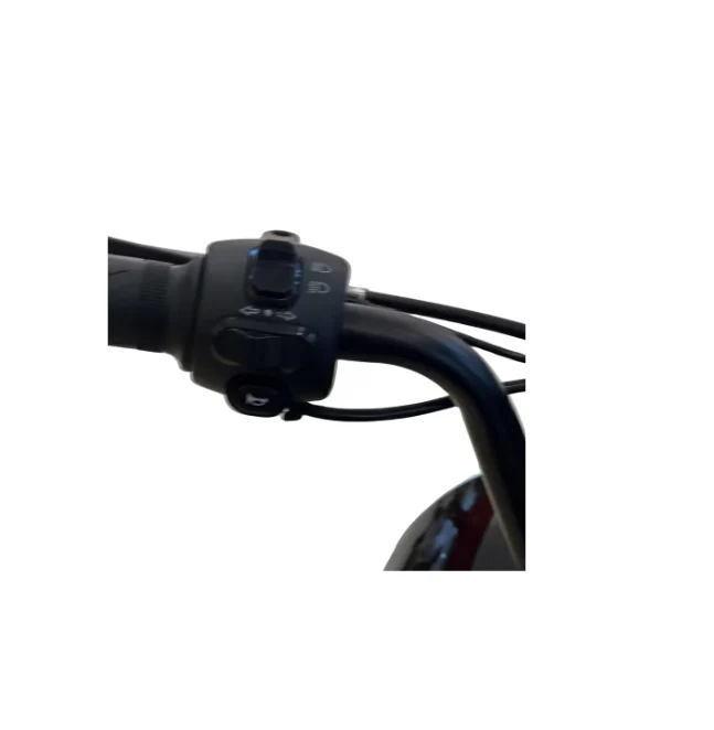Vespa Style Fashion Electric Bike -RW-GW02 - Image 3
