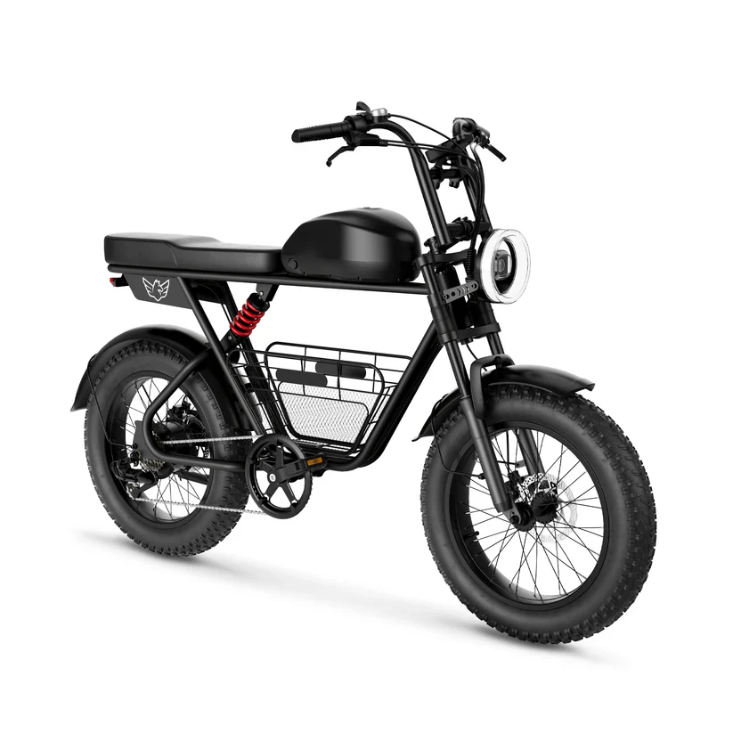 Windhorse D5 Electric Bike 48V 21Ah 1000W Fat Tyre 70Km Range