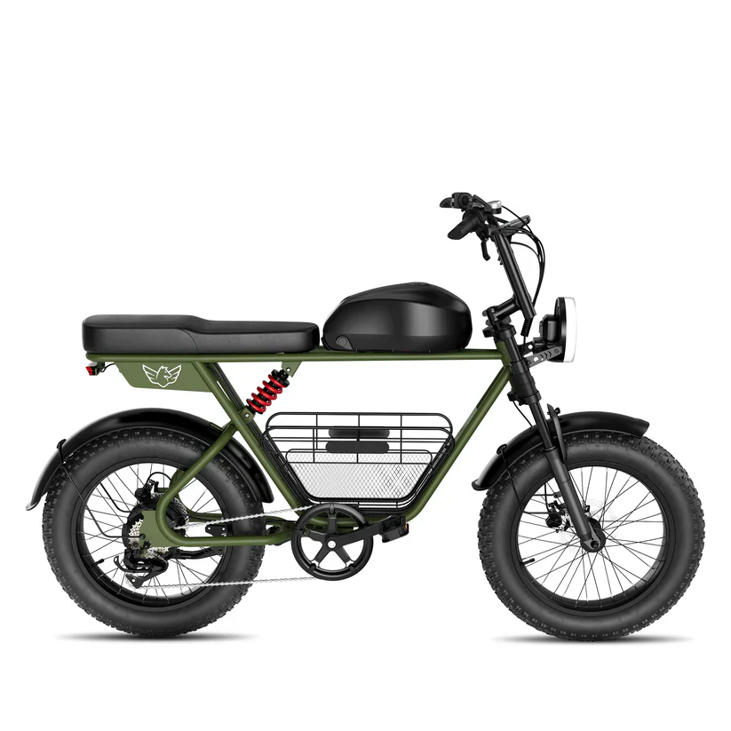 Windhorse D5 Electric Bike 48V 21Ah 1000W Fat Tyre 70Km Range - Image 2