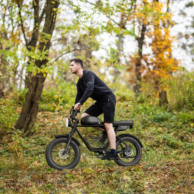 Windhorse D5 Electric Bike 48V 21Ah 1000W Fat Tyre 70Km Range - Image 3