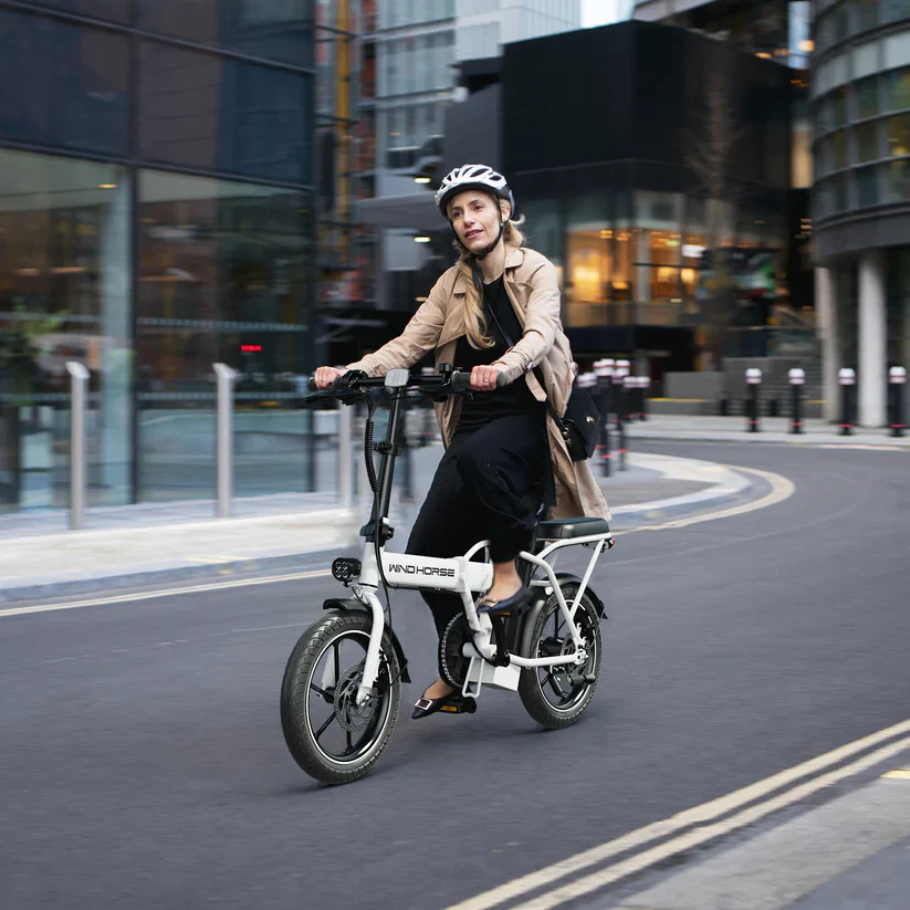 Windhorse W2A Electric Bike - Image 3