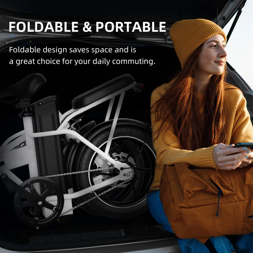Windhorse W2A Electric Bike - Image 4